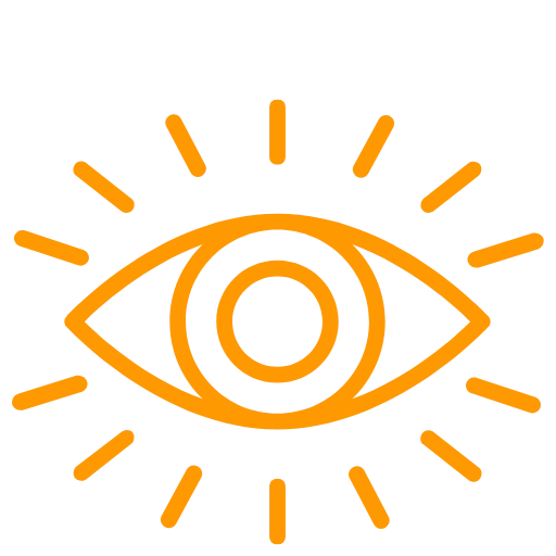 our vision